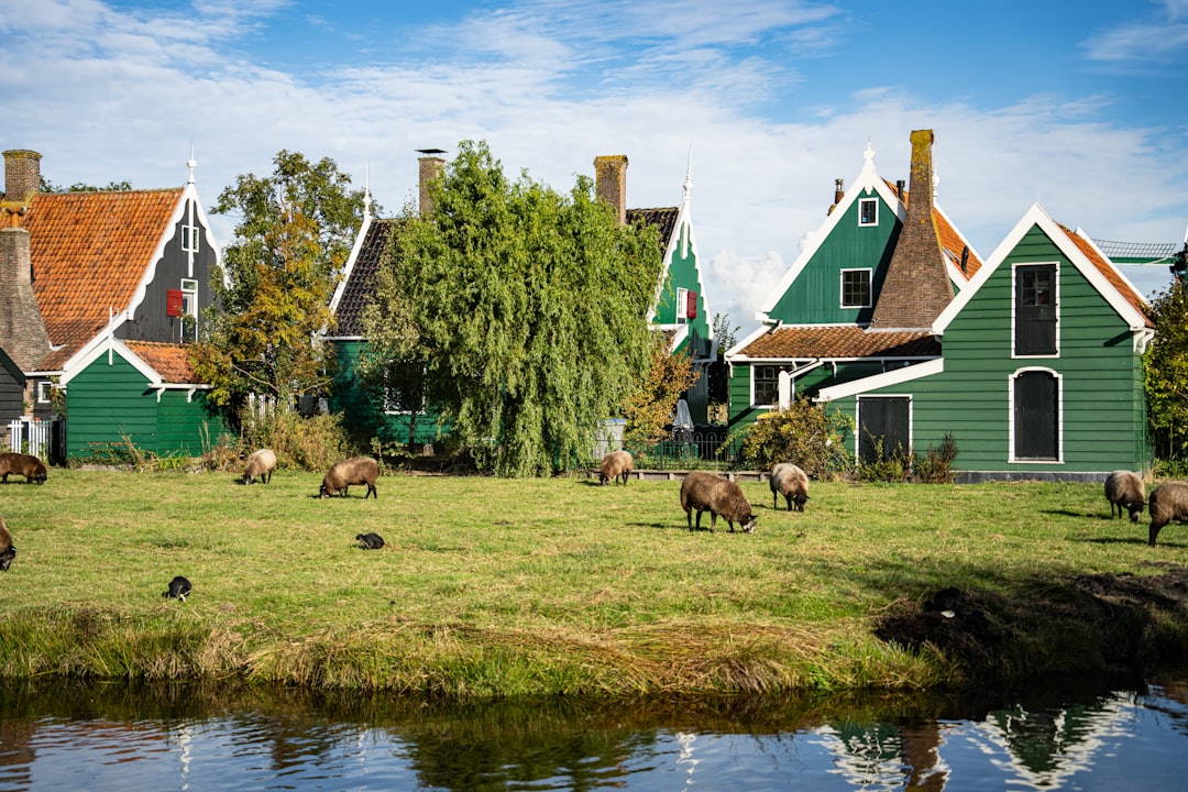 Achtergrondafbeelding voor Webdesign in Gemeente Molenlanden