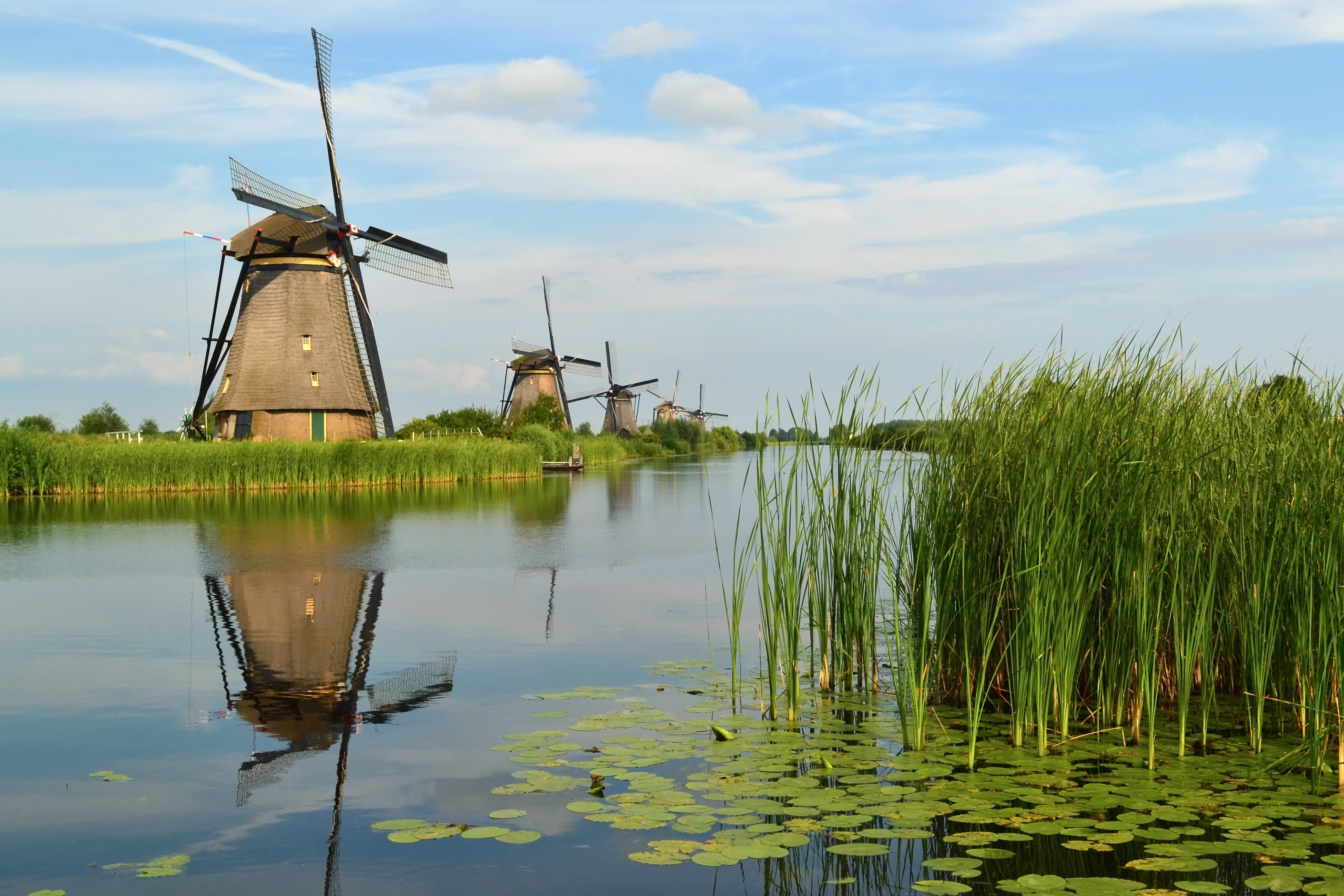Website laten maken in Kinderdijk