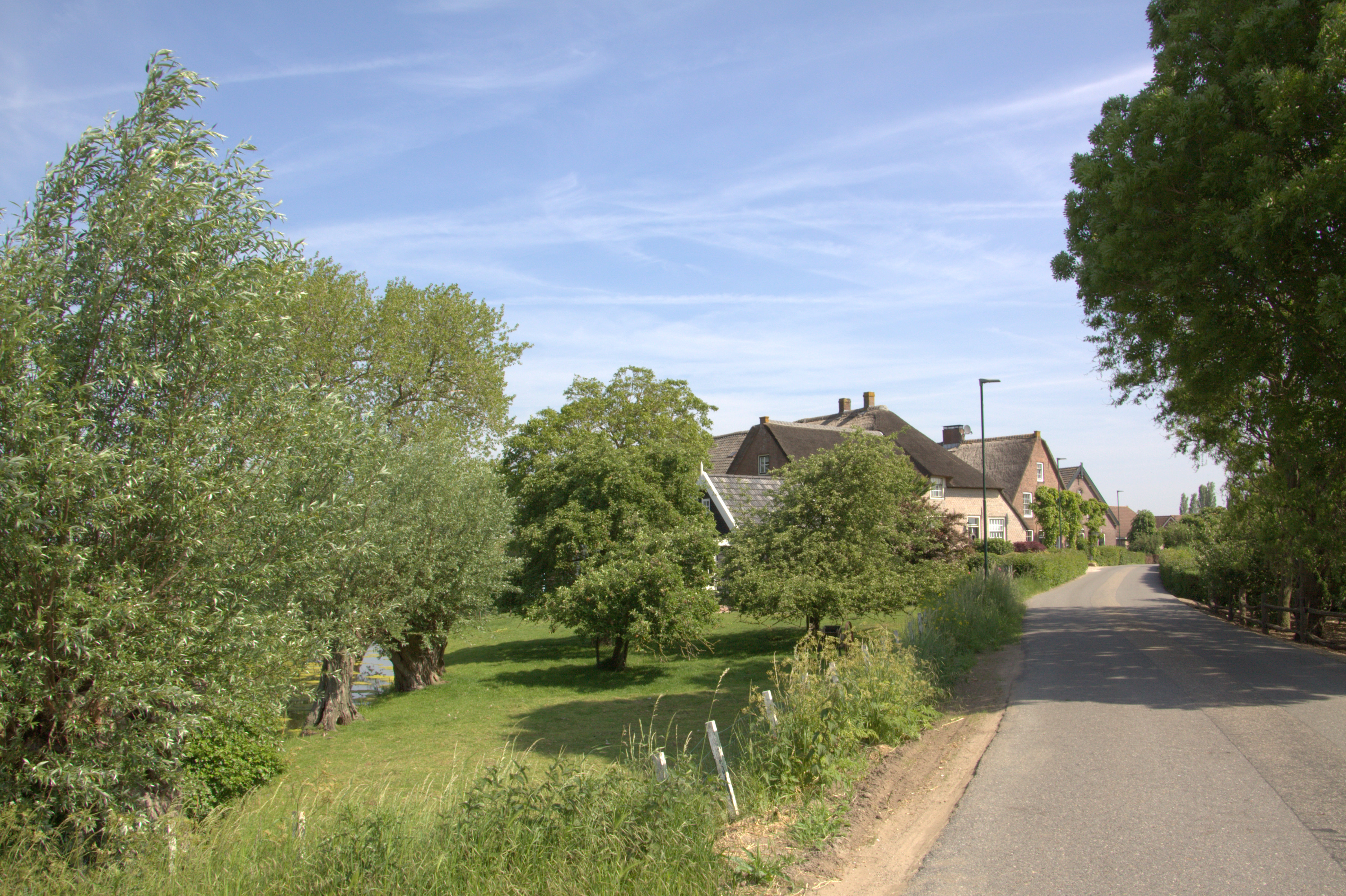 Webdesign Molenlanden